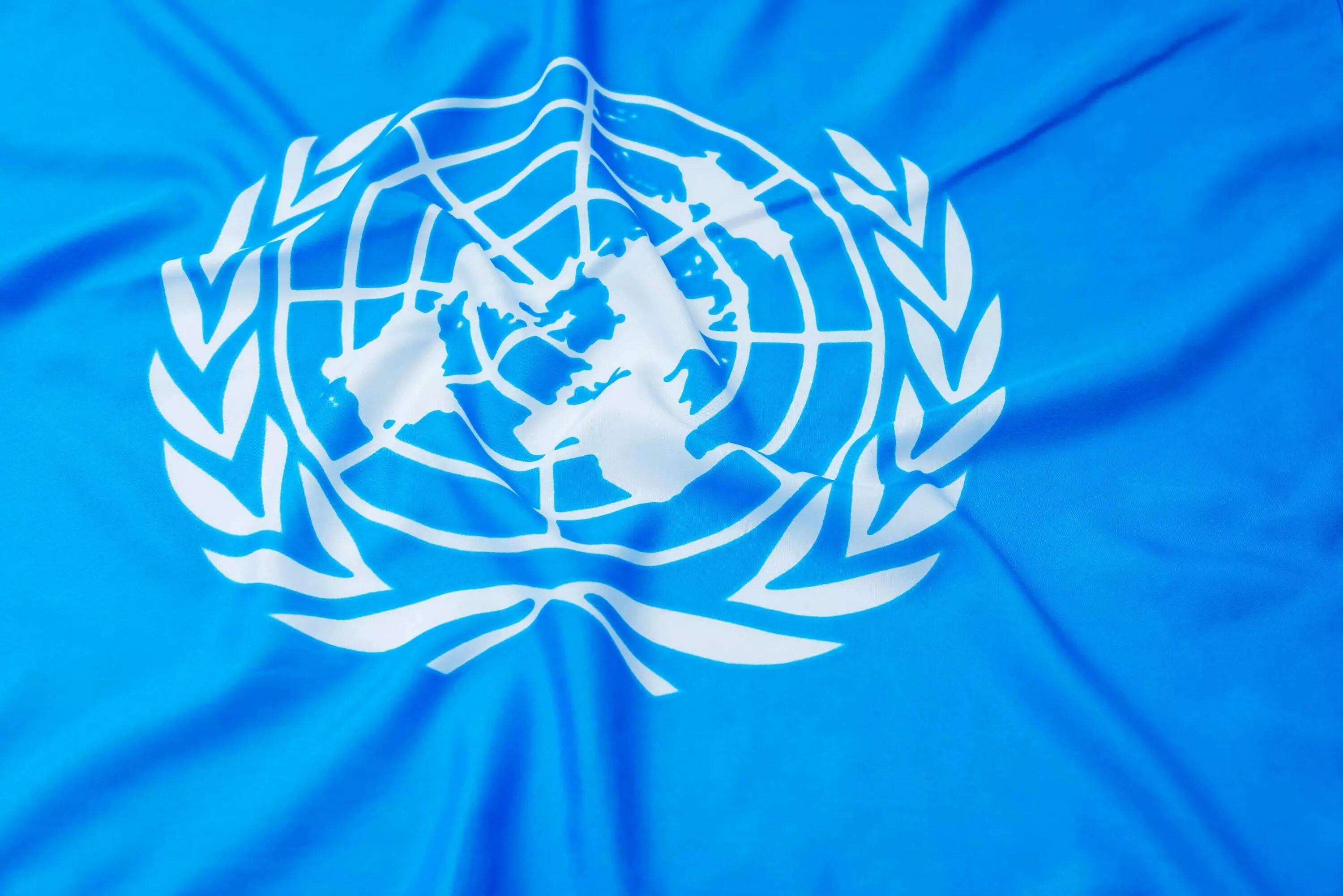 United nations states. United nations states. Флаг юнисеф. United nations states. Герб оон.