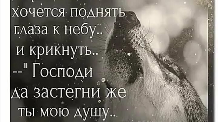 Бывает хочется. И не страшно что мы одиноки и не больно что мы не нужны. Порой бывает хочется поднять глаза к небу. Грустно так порой бывает. И не грустно что мы одиноки.