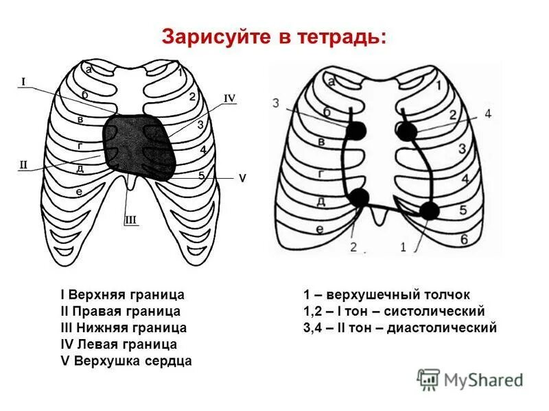 Верхняя и нижняя неделя