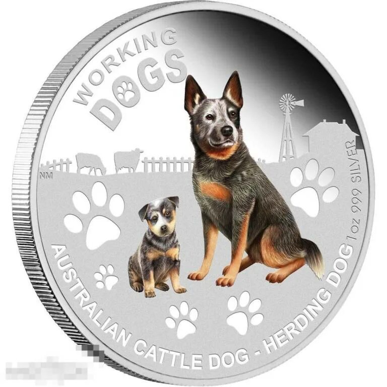 1 dogs coin. 1 dogs coin. 1 dogs coin. Shiba монета. Dogecoin монета.
