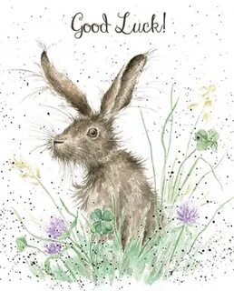 Wrendale Designs 'Good Hare Day' card.