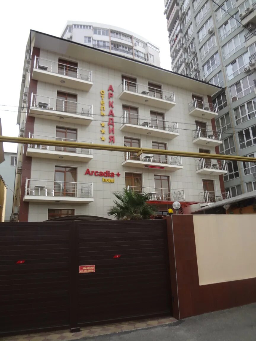 Отель аркадия +3 адлер. Аркадия. Гостиница аркадия адлер. Аркадия отель адлер. Аркадия отель адлер.