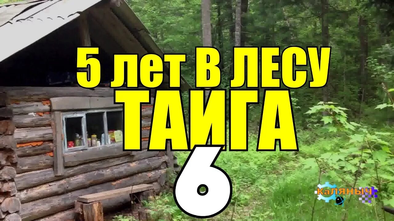 5 лет тайге. Жизнь отшельников в глухой тайге. жизнь в тайге в глухих лесах отшельники. коляныч тайга.