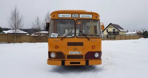 677 автобус сосновый бор
