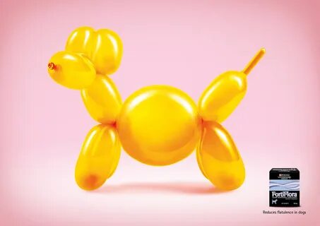 Balloon dog