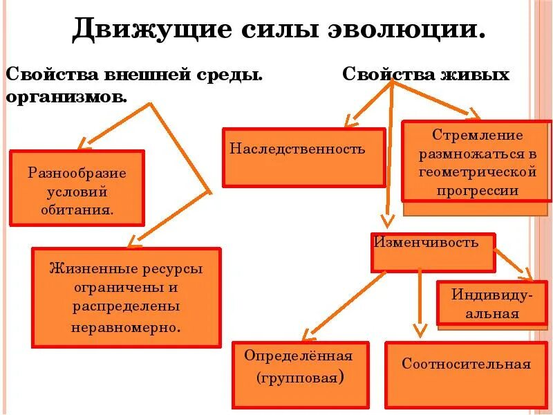 Движущая сила появления признака. Виды эволюции движущие. Основные движущие силы эволюции. Основные движущие силы эволюции по Дарвину. Движущие силы эволюции животных.