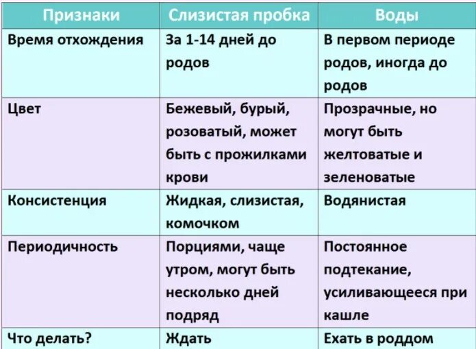 Как узнать схватки. Отхождение вод и пробки перед родами. Что такое отошла пробка у беременных.