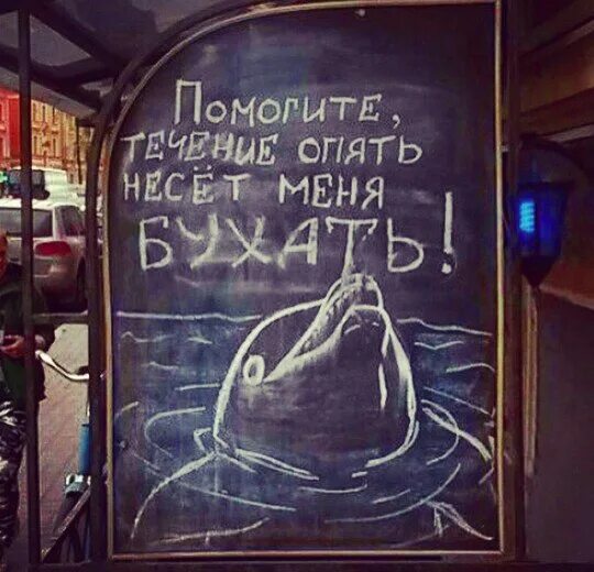 Синее море опять зовет меня. Помогите течение несет меня бухать. помогите течение несет меня. течение опять несет меня бухать. помогите течение несет меня бухать дельфин.