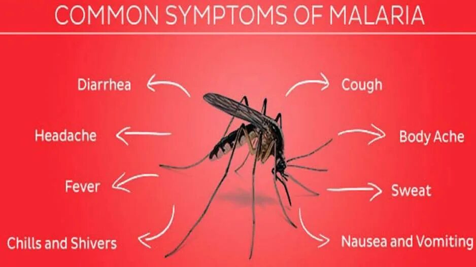 Malaria антивирусное.