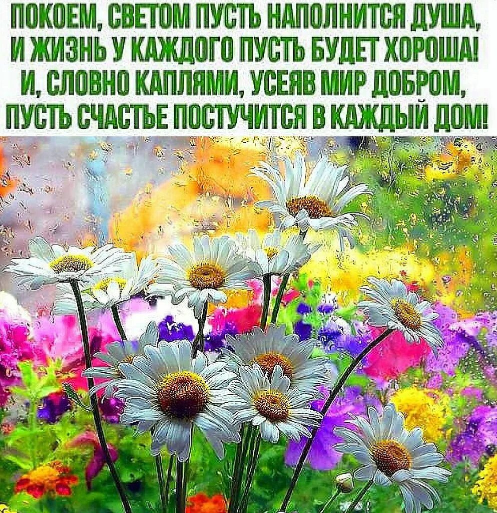 Пусть все в жизни будет хорошо. Пусть жизнь наполнится добром. Пусть каждый день.