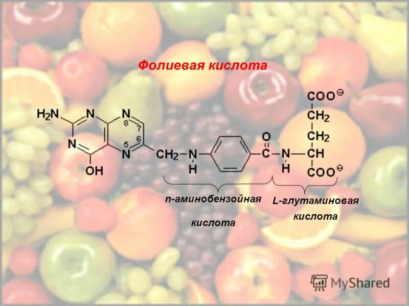 Фолиевая кислота тиамин