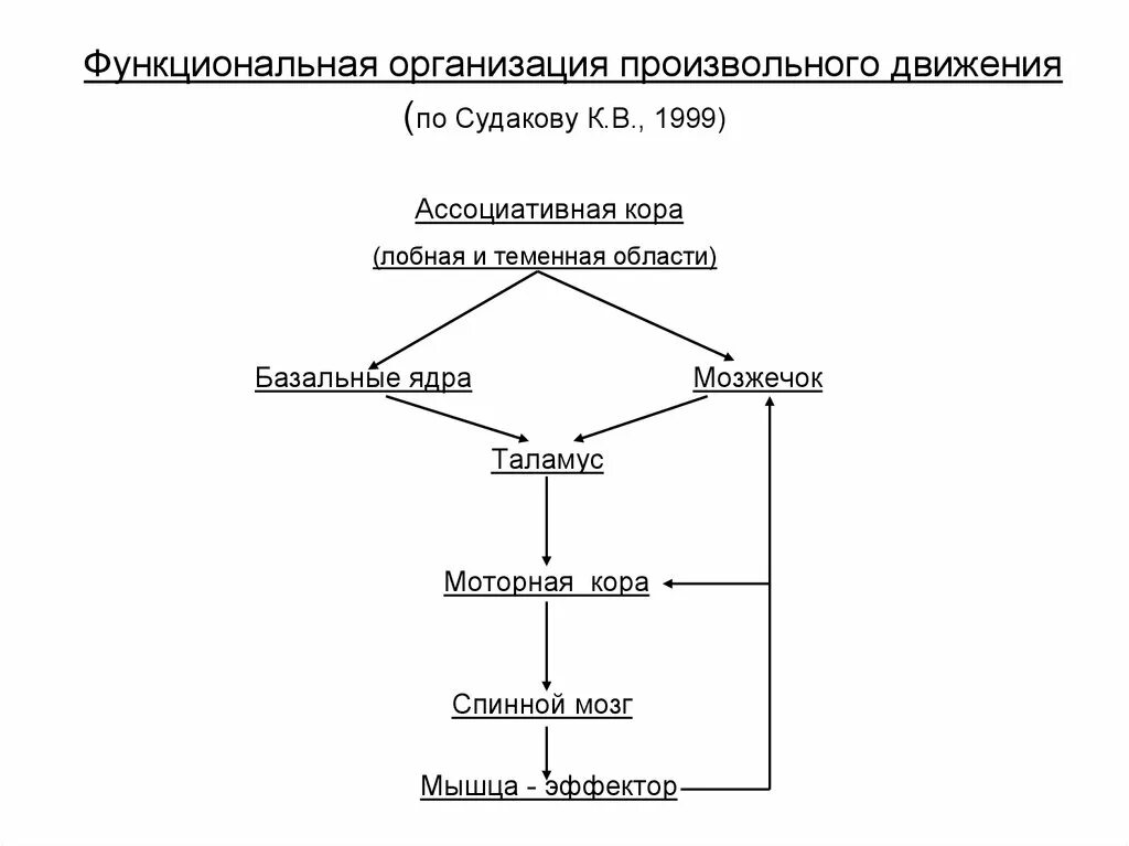 Серийная организация движений