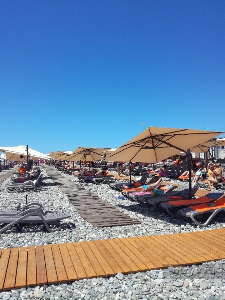 Rosa beach олимпийская ул 35 отзывы