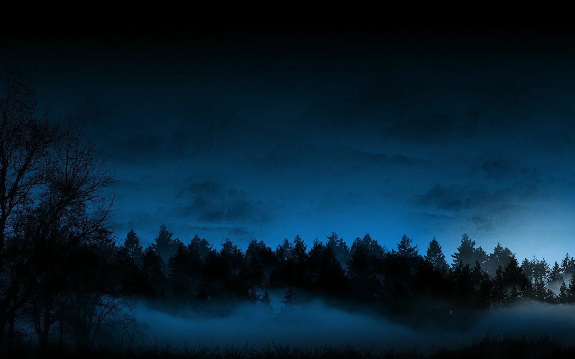 Темно ну. Ночной лес. «Ночь в лесу». Темная заставка на рабочий стол. Небо в лесу ночью.