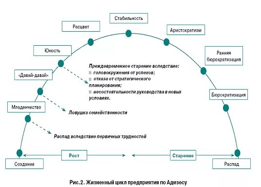 Адизес управление жизненным. Этапы жизненного цикла компании Адизес. "Фаза (стадия) жизненного цикла организации". Ицхак Адизес модель жизненного цикла организации. Жизненный цикл Адизеса схема.