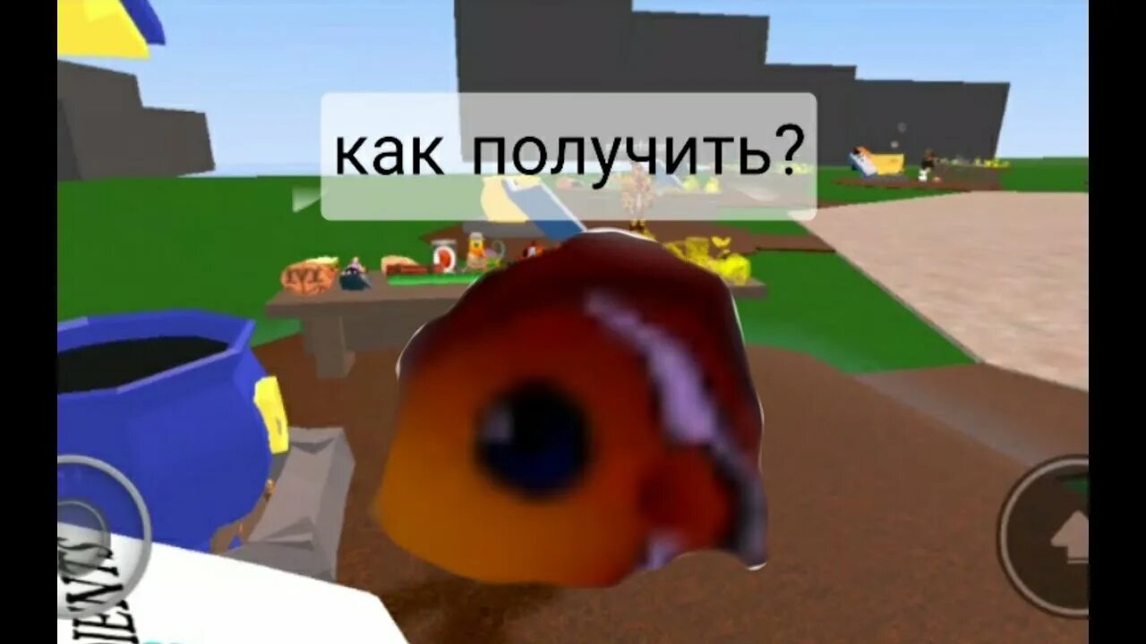 Как получить ведро в игре дурацкие. Как найти рыбу в wacky wizards. где найти желейную рыбу в wacky wizard. как получить ведро краски в wacky wizards 2025. в роблоксе в режиме флэппи фиш как получить всех рыб.