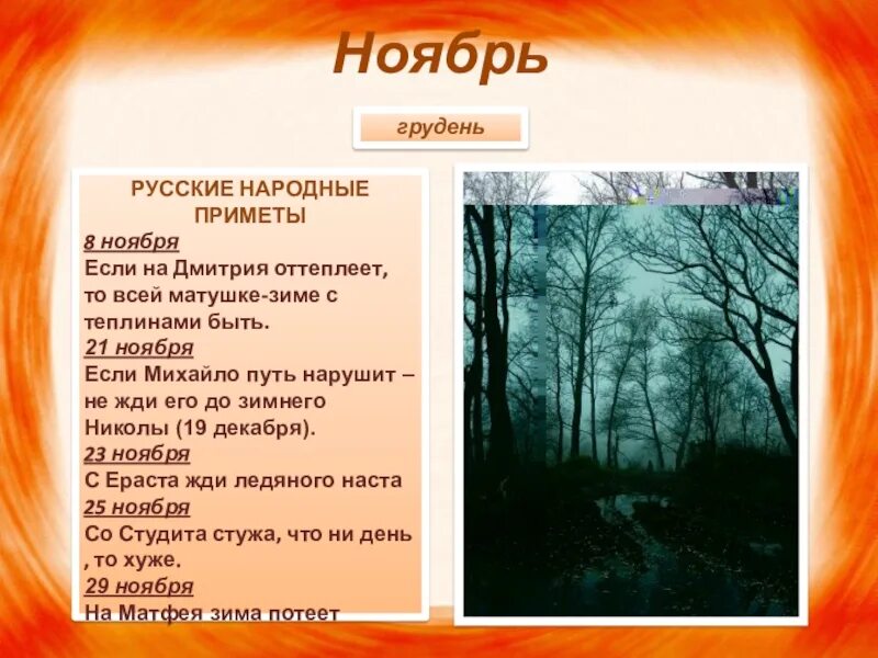 Приметы на 14 ноября. Календарь природы осень. Приметы ноября. Приметы ноября ноябрь. Календарь природы ноябрь.