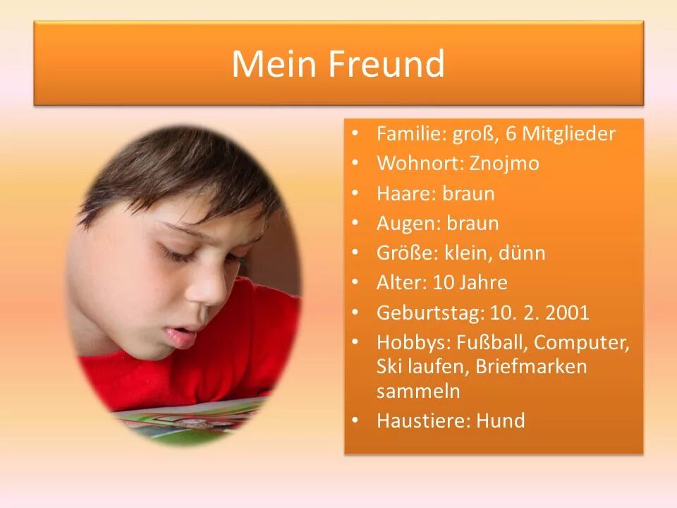 Немецкий Mein Freund. Mein Freund текст по немецкому. Ich und Mein Freund проект. Meine Freundin тема.