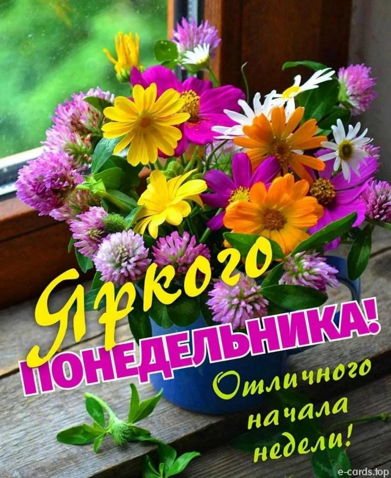 Доброе утро понедельника лето хорошего дня. Хорошего дня и отличного настроения цветы. доброе утро и отличного настроения. поздравление с понедельником. хорошего настроения и удачного дня цветы.
