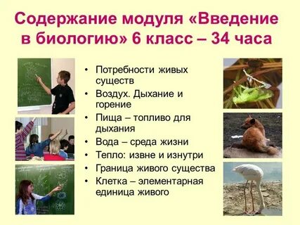 Всем живым существам присущи потребности верно