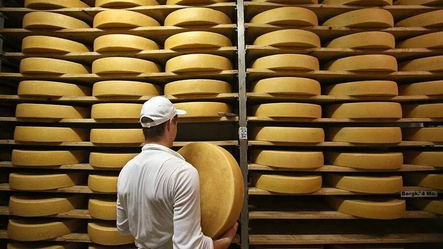 реджано сыроварня реджано. предприятия по производству сыра. предприятия по производству сыра. завод сыра. сыроварня в истре экскурсии.