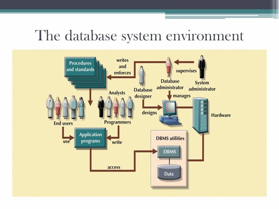 Database Systems презентация. Database Management System. Система базы данных. A data processing презентация.