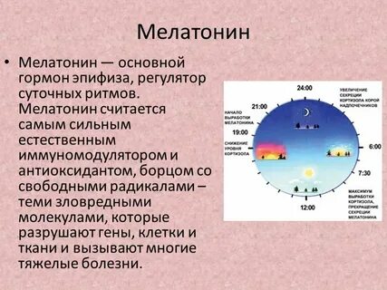 Мелатонин вред и польза