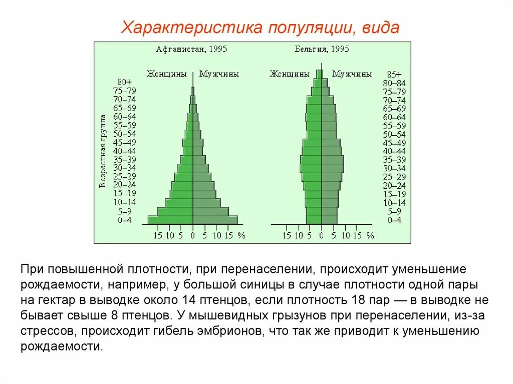 Старые особи составляют большую долю популяции. Характеристика рождаемости популяции. Характеристика рождаемости популяции. Характеристика рождаемости популяции. Рождаемость и смертность популяции.