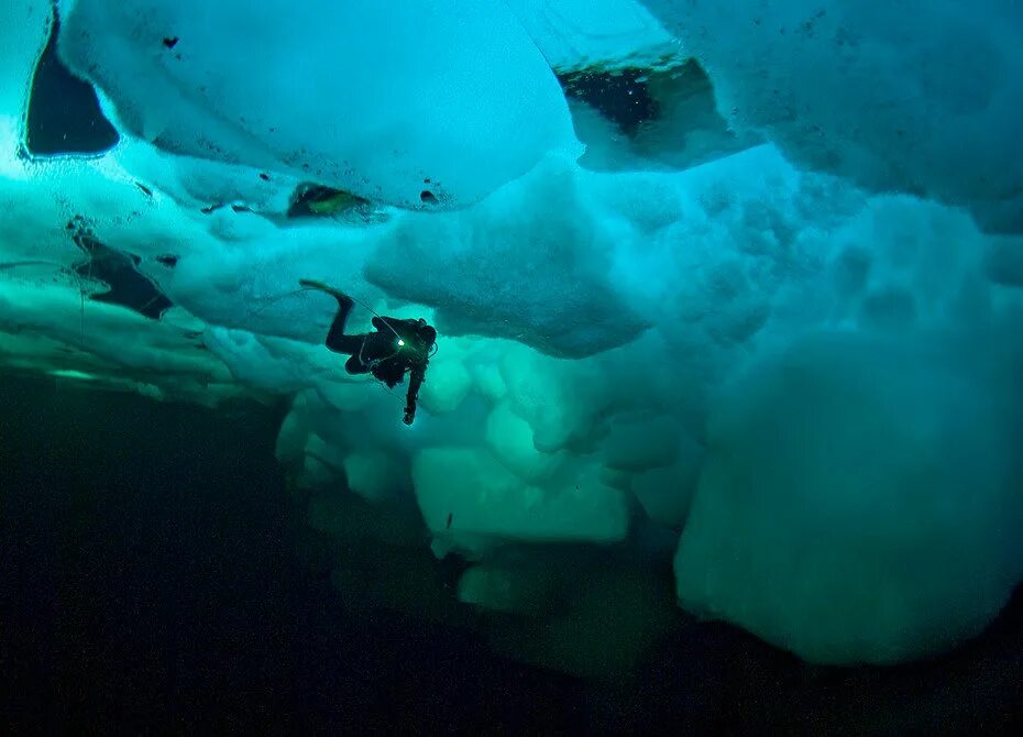 Ледовитый океан дно. Дно Северного Ледовитого океана. Северный Ледовитый океан паковый лед. Антарктида подо льдом. На дне Северного Ледовитого океана.