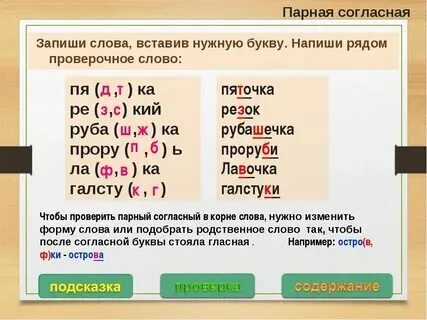 Примеры слов с парными