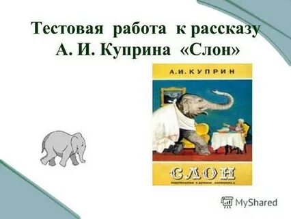 Какой был слон в рассказе слон