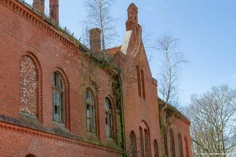 Поселок зеленое калининградская область