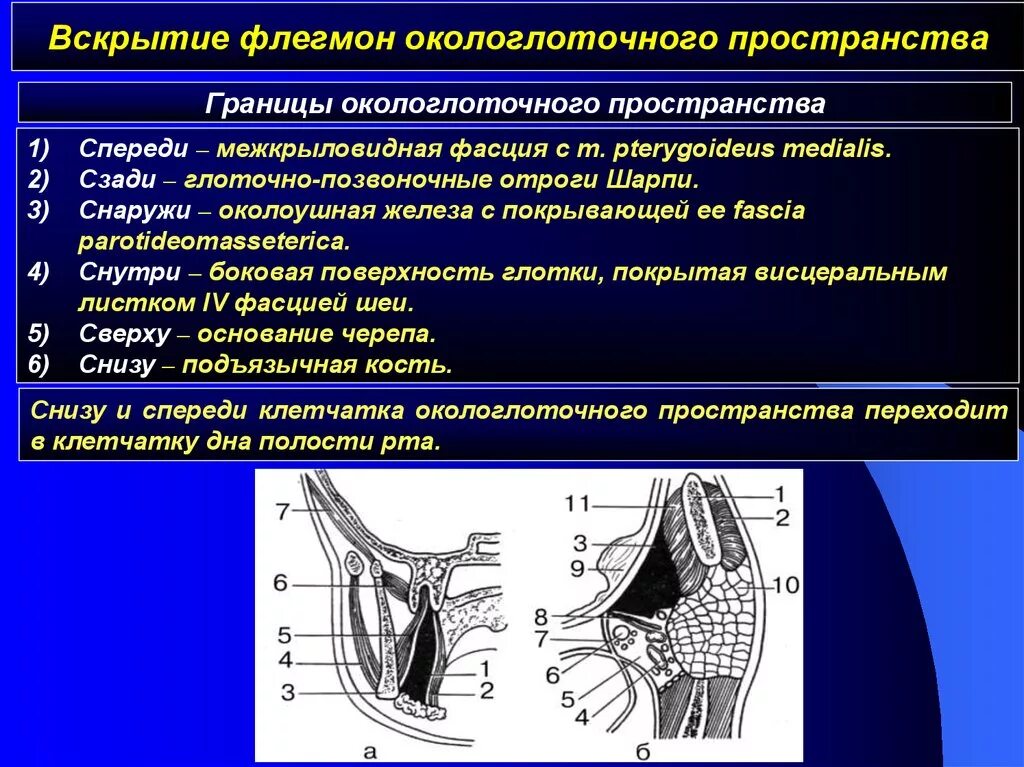 Окологлоточные клетчаточные пространства. Околодосочное пространство. Окологлоточное пространство границы. Топография окологлоточного пространства.