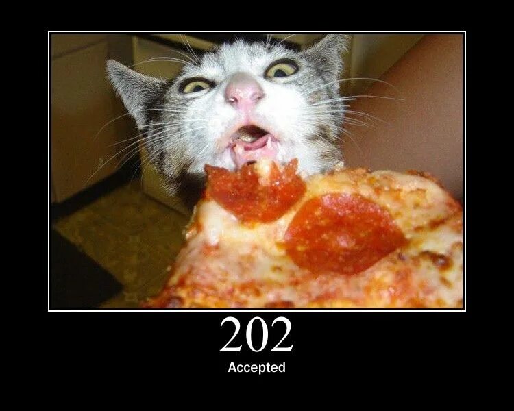 Украл пиццу. Кот ворует пиццу. Кот и пицца. Котик с пиццей. Кот крадет пиццу.
