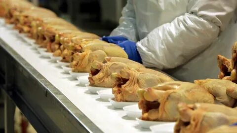 Реализация продукции животного происхождения