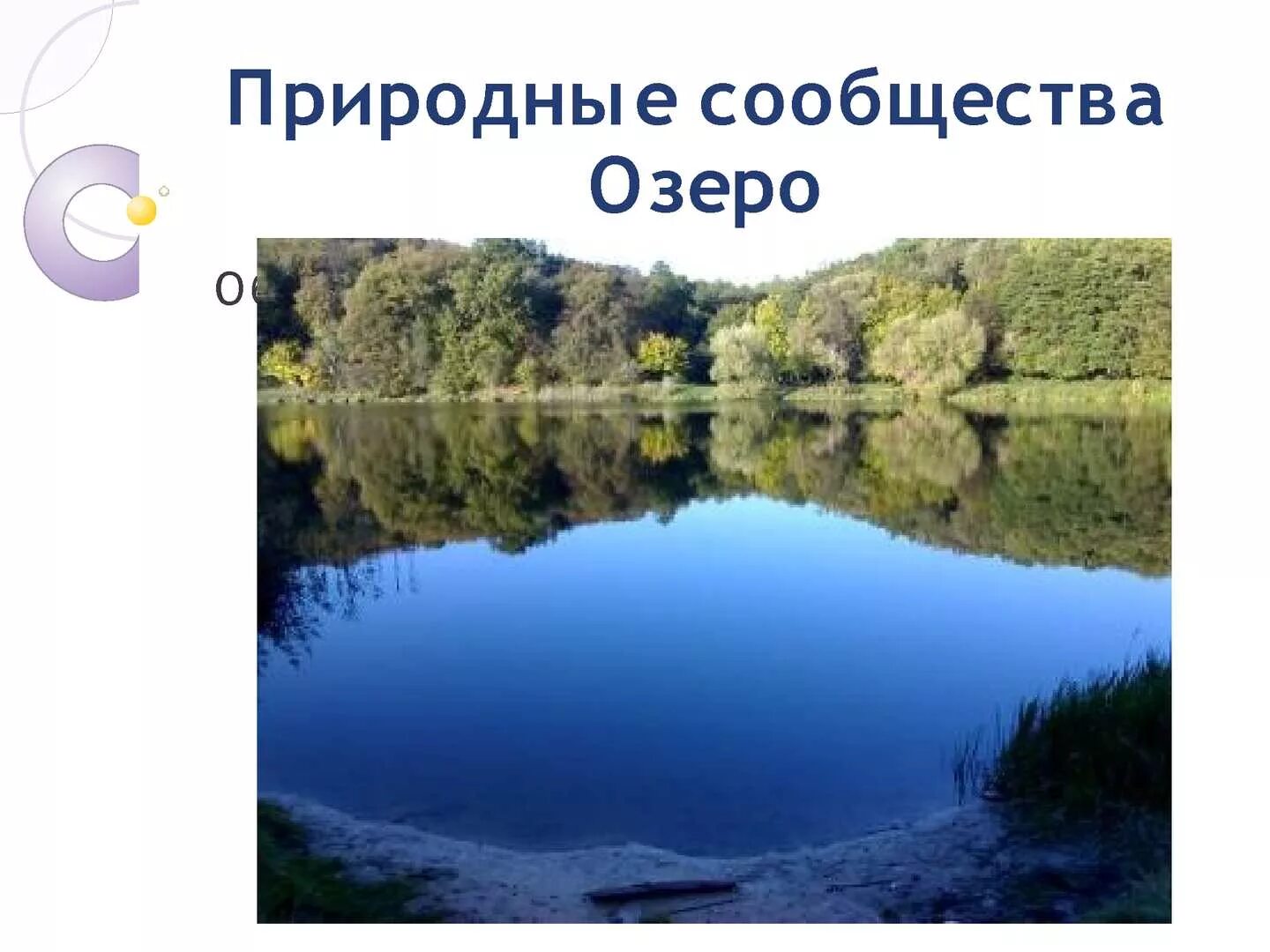 Природные сообщества. Природное сообщество озеро. Природное сообщество река. Природное сообщество озщзера 3 класс. Примеры природных сообществ озеро