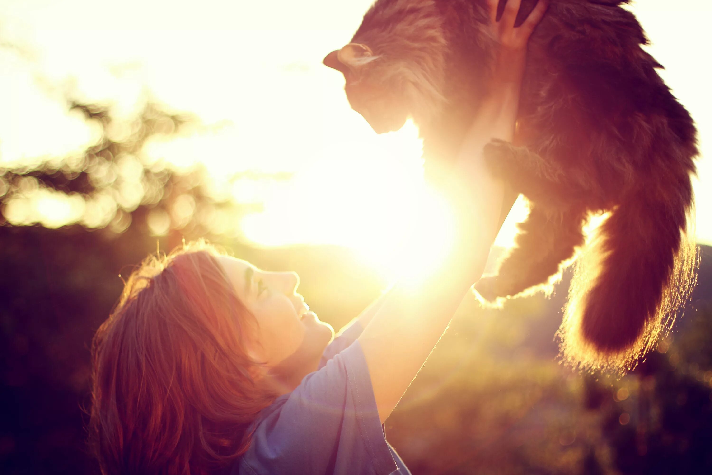 Девушка с рыжим котом. Девушка в солнечных лучах. Девушка и солнце. Рыжая девушка с котом со спины.