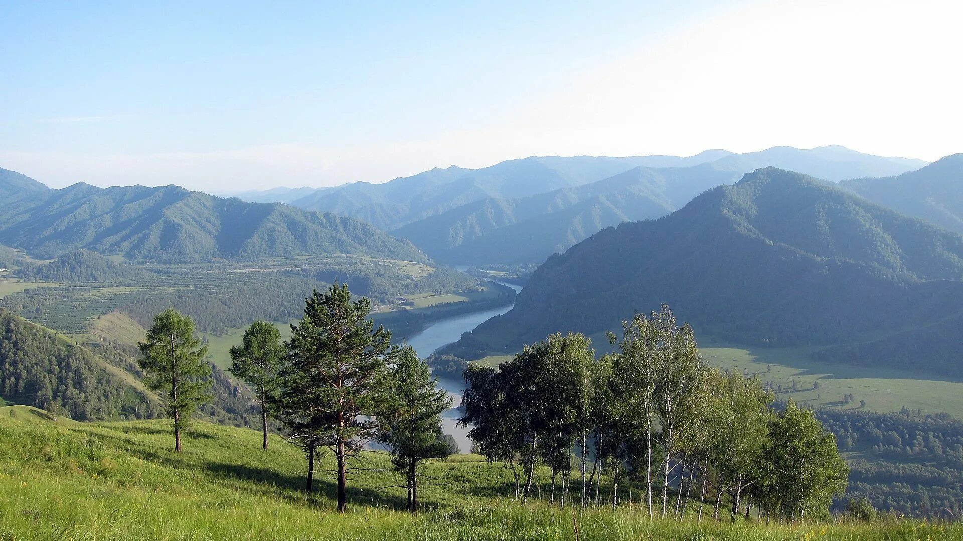 Статус алтайского края. Алтайский край горный Алтай природа. Горно Алтайск Уймонская Долина. Гора Салоп горный Алтай. Саяны Долина Алтайский край.