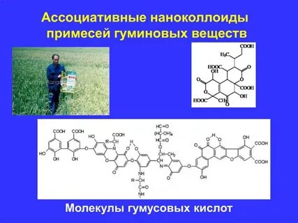 Гуминовые вещества