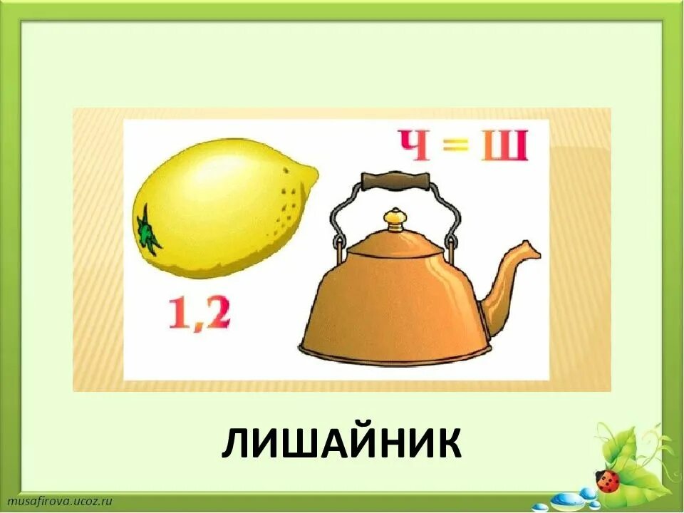 Игра по биологии 11 класс. Игра по биологии 11 класс