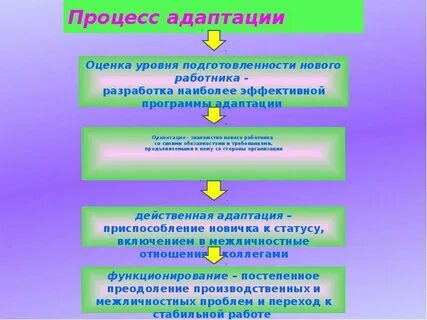 Внедрение системы адаптации