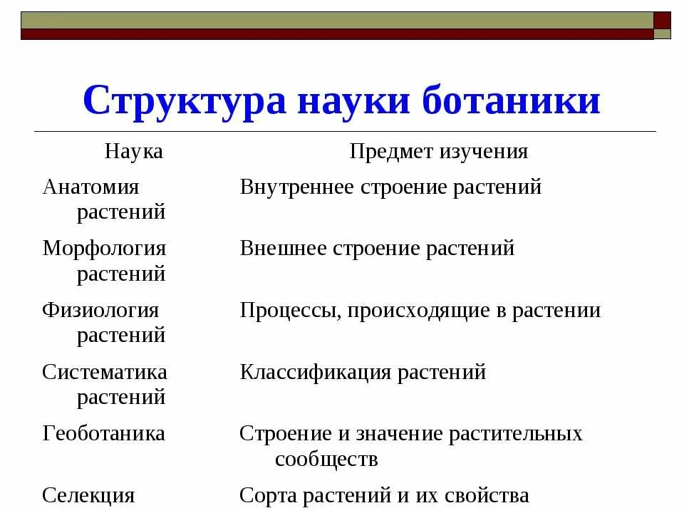 Какая ботаническая наука изучает процесс размножения растений. Ботаника объект изучения. Науки в ботанике. Структура науки ботаники. Объект исследования ботаники.