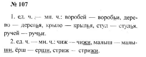 Рус яз 3 класс упр 107