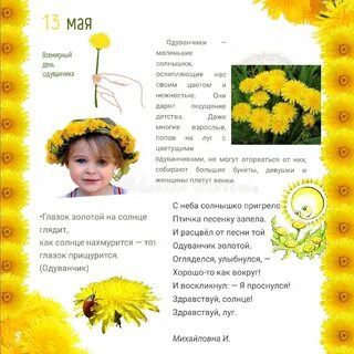 День одуванчика в доу отчет