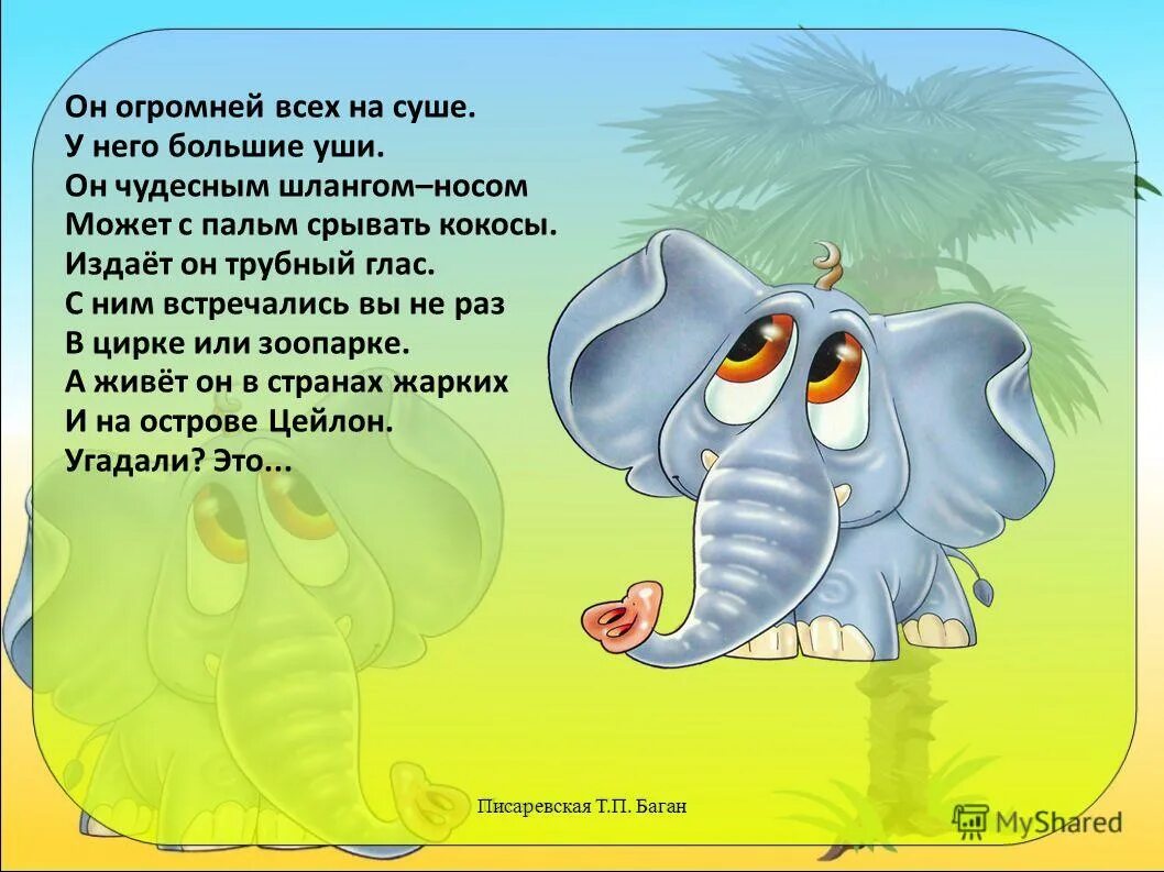 У их него