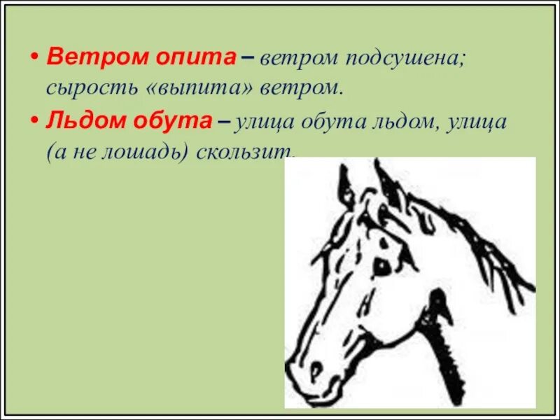 Создание стихотворения хорошее отношение к лошадям. Хорошее отношение к лошадям иллюстрации. Стих хорошее отношение к лошадям. Хорошее отношение к лошадям Маяковский. Иллюстрация к стихотворению хорошее отношение к лошадям.