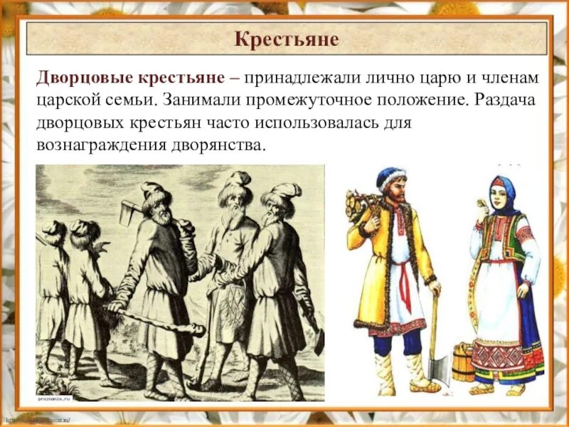 Дворцовые крестьяне 18 век. Дворцовые крестьянето. Крестьянство крепостные дворцовые. Крестьянство в 17 веке. Кому принадлежала в 18 веке