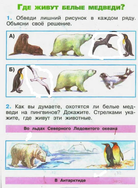Медведь окружающий мир 2 класс рабочая тетрадь. Медведь окружающий мир 2 класс рабочая тетрадь. Задания по окружающему миру 2 класс. Медведь окружающий мир 2 класс рабочая тетрадь. Окружающий мир 2 класс вахрушев рабочая тетрадь.