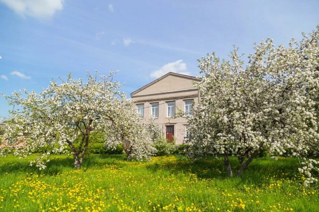 Федоровское ул почтовая д1. Фёдоровское (ленинградская область). Жк счастье федоровское. Поселок федоровское тосненский район. Жк солнечный квартет в федоровском.