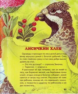 Пришвин лисичкин текст распечатать